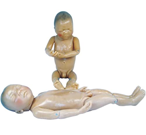 Újszülött Modell (Baba Modell) Anotomical Emberi Modell