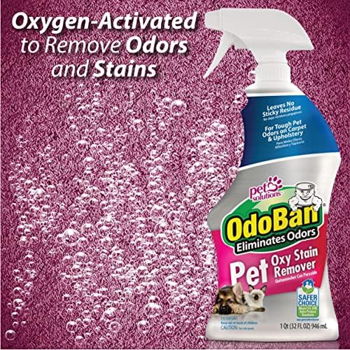OdoBan Professional Series Tisztítás 3-in-1 Szőnyeg Tisztítószer-Koncentrátum, 1 Liter & Pet Megoldások Oxy folttisztító, Pet Folt