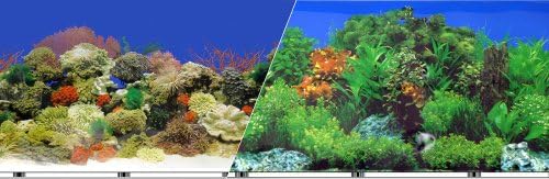 Kék Szalag Korall Friss Háttér Kétoldalas Méret: 24 x 50