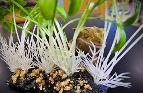Komodo Terrárium Hüllő Kelbimbó Reális Növények | Természetes hatású Mesterséges Akvárium Dísz & Élőhely Dekoráció Tartozék Súlyozott Bázis