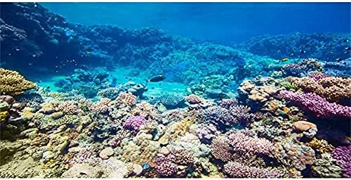 AWERT 48x24 centi Víz alatti Akvárium Háttér Korallzátony Alatti akvárium Háttér Poliészter Háttér