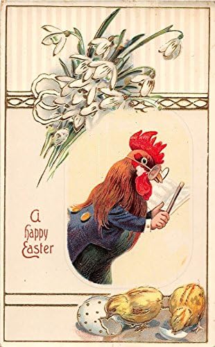 Húsvéti Üdvözlet Öltözött Csirke Csajok Antik Képeslap J6486