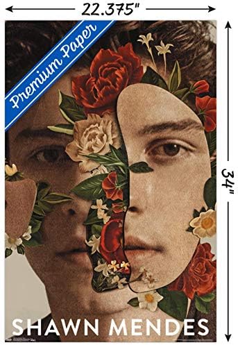 Tendenciák a Nemzetközi Shawn Mendes - Virágos Fali Poszter, 22.375 x 34, Prémium keret nélküli Változat