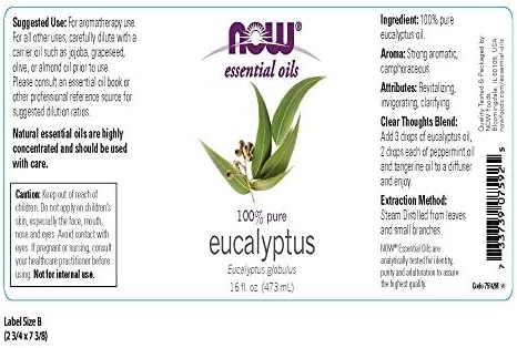 MOST Élelmiszerek Eucalyptus Globulus Olaj, 16 Folyadék Uncia (2 Csomag)