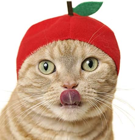 Kitan Klub Macska Cap - Pet Kalap Vak Doboz Tartalmaz 1 6 Aranyos Stílusok - Puha, Kényelmes - Autentikus Japán Kawaii Design