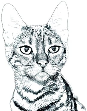 Művészeti Kutya Kft. Macska Toyger, Ovális alakú Sírkő a Kerámia egy Kép egy macska