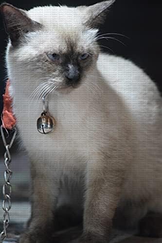 Abdul a Sialkot Extra Hangos Pár Cat & Dog Réz Ezüst Harang Gallér Varázsa Pet Tracker Makk Solymászat Ezüst Alsó & Brass Felső