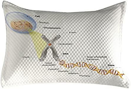 Ambesonne Tudomány Steppelt Pillowcover, Cella Kromoszóma-Gén DNS Genom Tanulmány Kettős Spirál Evolúció Tudományos Kutatás, Standard
