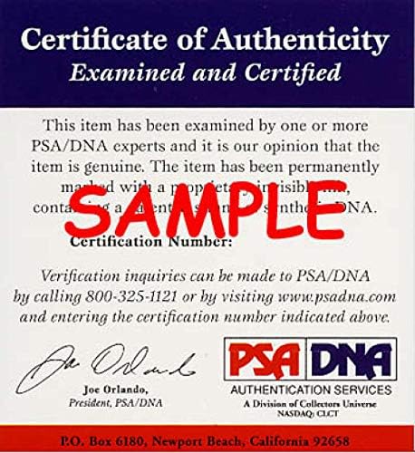 Dale Murphy a PSA DNS Aláírt 8x10 Fotó Autogramot Bátrabbak