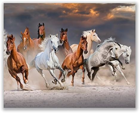 A ló Ihlette Szépség A Sivatagban Szett (5): Kirakat Erő, Szépség, egy Ló - Wall Art Dekor keret nélküli Poszter Nyomatok (8x10)
