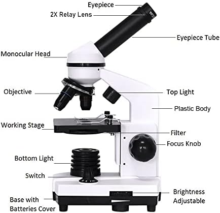ZLDQBH Szakmai Biológiai Mikroszkóp Összetett LED Monokuláris Tanulói Mikroszkóp Biológiai Kutatás Okostelefon Adapter 40X-1600X