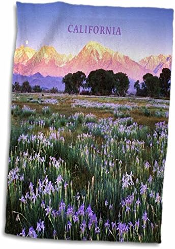 3dRose Florence Amerika, A Gyönyörű - Owens Valley, Kalifornia - Törölköző (twl-62059-1)