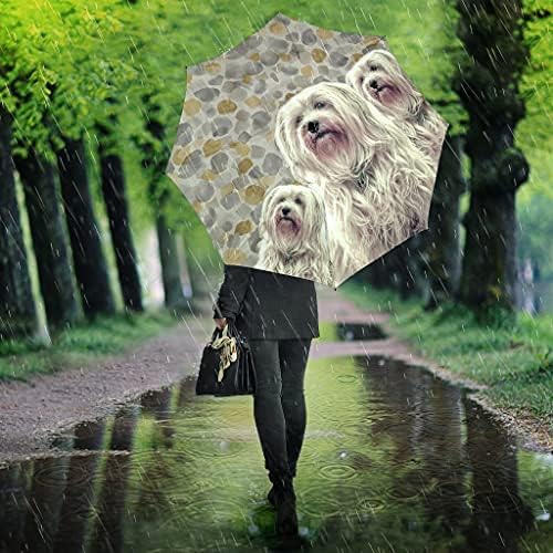 Pawlice Aranyos Havanese Kutya Nyomtatás Esernyő