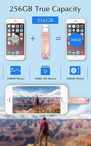 256 gb-os Fénykép-Stick-for-iPhone, az Apple Mpi Cetified USB Flash Meghajtó iPhone pendrive-ot,iPhone-Memory-Stick iPad/iPhone/Számítógép
