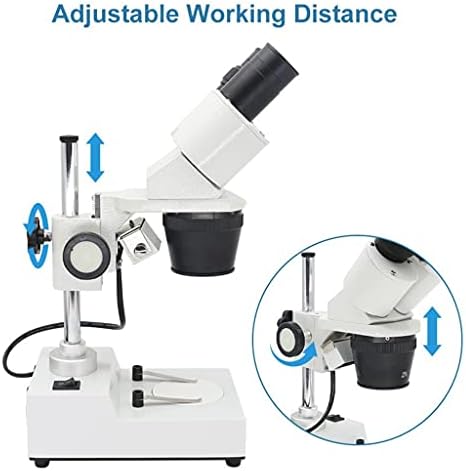 N/A Binokuláris Sztereó Mikroszkóp Ipari Sztereó Mikroszkóp Felső LED Megvilágítás, Mobil Telefon PCB Forrasztás-Javító Eszköz (Szín