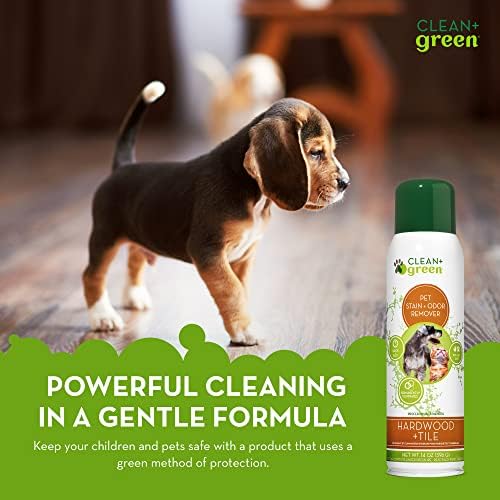 Zöld+Tiszta, Természetes Dezodor a Parketta vagy járólap, Pet Folt Szag Eltávolító Cat & Dog, Odor Eliminator, Kemény Fa, Cserép Tisztább