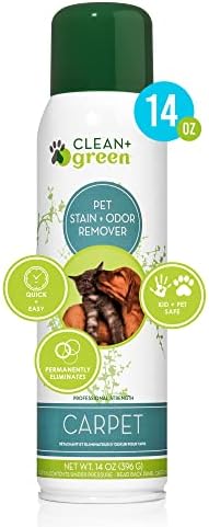 Pet szőnyegtisztító Spray-Odor Eliminator - Természetes folteltávolító a Macska vagy Kutya Szórakozik - Szakmai Szőnyeg