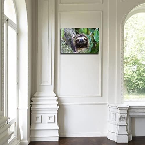 Cuki Lajhár Vászon Nyomatok Állat Művészeti Plakátok Szoba Esztétikai Poszter Wall Art Az Otthoni Irodai Dekorációk, Keretes 36x24