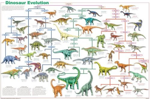 Feenixx Kiadói Dinoszaurusz Evolúció Poszter 24x36